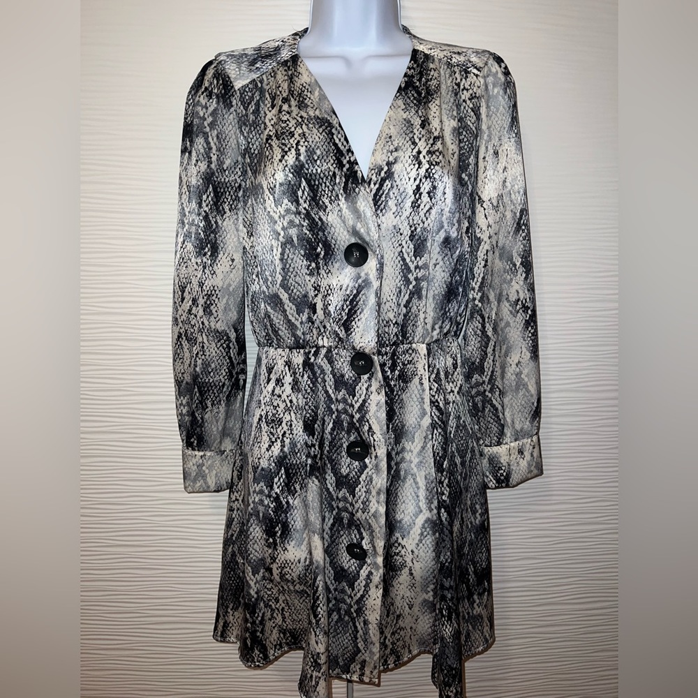 Zara Dress